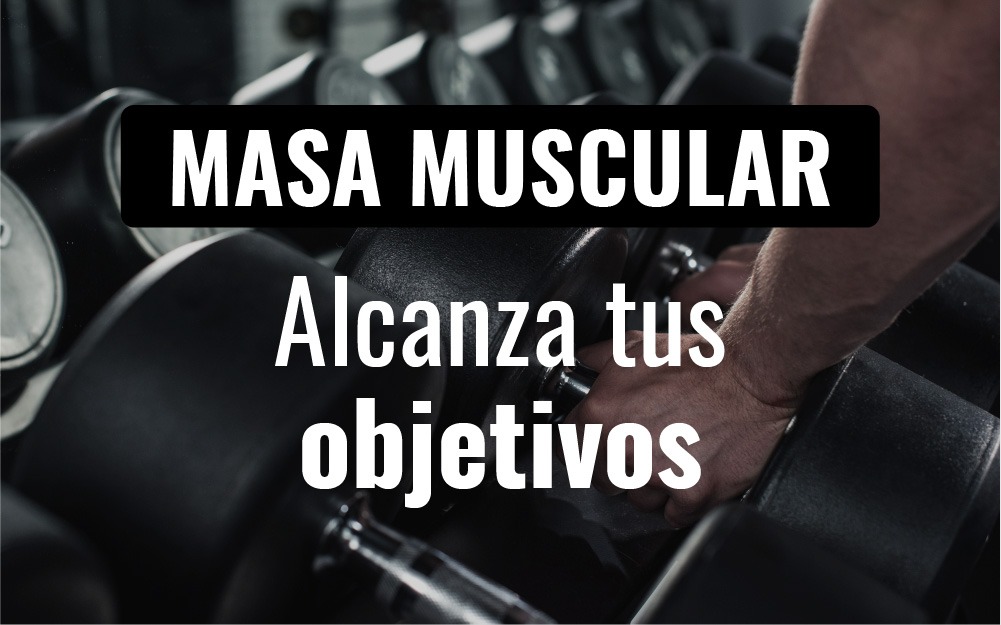 3. Masa Muscular