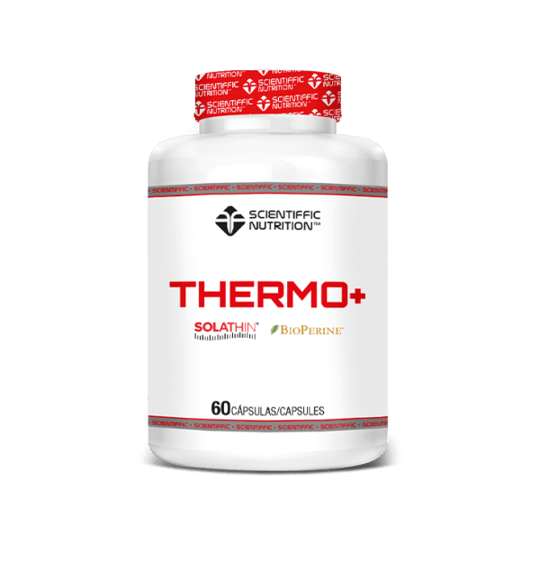 13. THERMO
